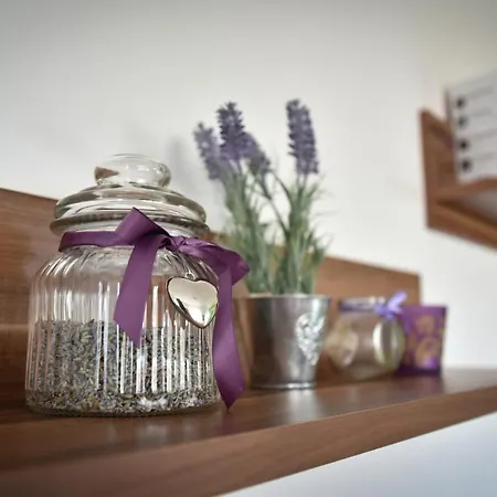 Kizin House, Cozy By Istrian Embrace Daire *