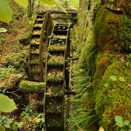 Istrian Embrace, Kizin House - Cozy Apartments Apartman Brezovica pri Gradinu