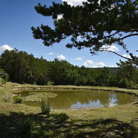 Istrian Embrace, Kizin House - Cozy Apartments Brezovica pri Gradinu