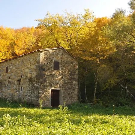 Istrian Embrace, Kizin House - Cozy Apartments * Brezovica pri Gradinu