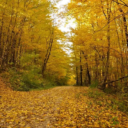 Apartman Istrian Embrace, Kizin House - Cozy Apartments Brezovica pri Gradinu