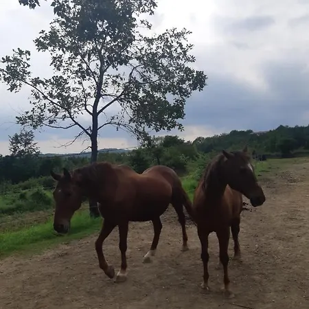 Istrian Embrace, Kizin House - Cozy Apartments Apartman Brezovica pri Gradinu