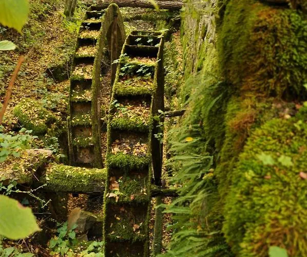 Istrian Embrace, Kizin House - Cozy شقة Brezovica pri Gradinu