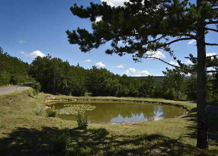 Istrian Embrace, Kizin House - Cozy Brezovica pri Gradinu
