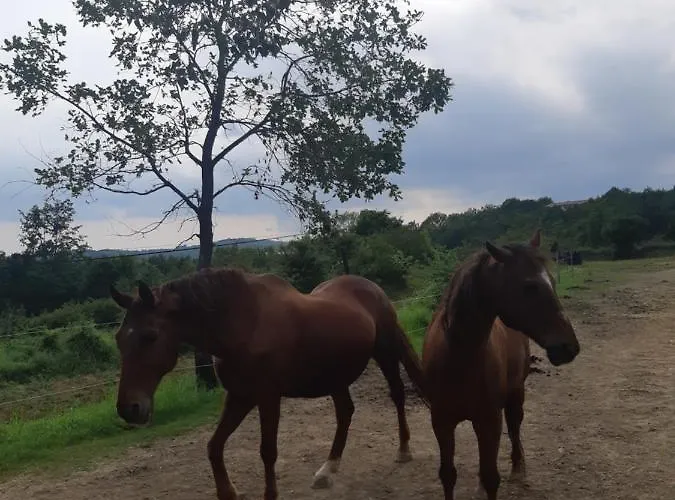 Istrian Embrace, Kizin House - Cozy شقة Brezovica pri Gradinu