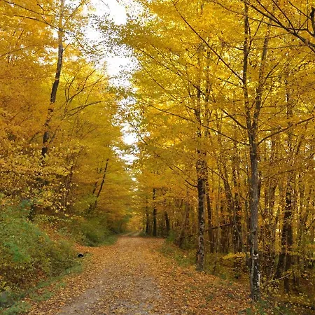 Istrian Embrace, Kizin House - Cozy Apartments Apartamento