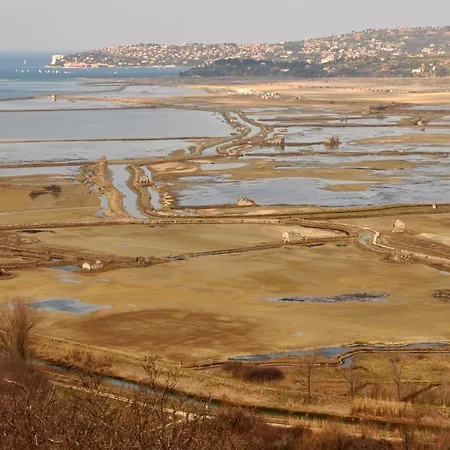 Istrian Embrace, Kizin House - Cozy Apartments Daire Brezovica pri Gradinu