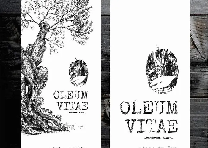 Istrian Embrace, Kizin House - Cozy Apartments Apartament *