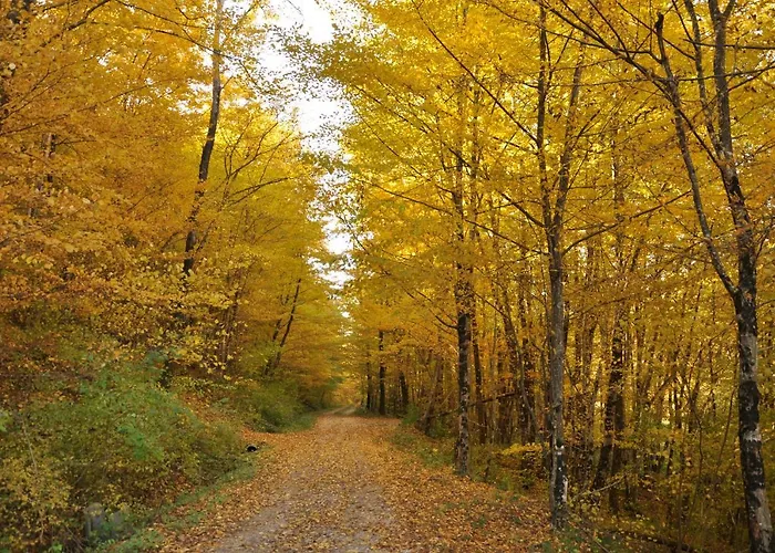 Istrian Embrace, Kizin House - Cozy Apartments Apartament