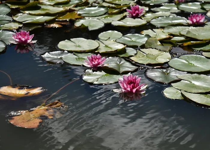 Apartament Istrian Embrace, Kizin House - Cozy Apartments Brezovica pri Gradinu