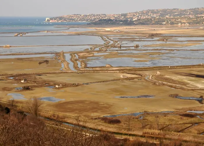 Istrian Embrace, Kizin House - Cozy Apartments Apartament Brezovica pri Gradinu
