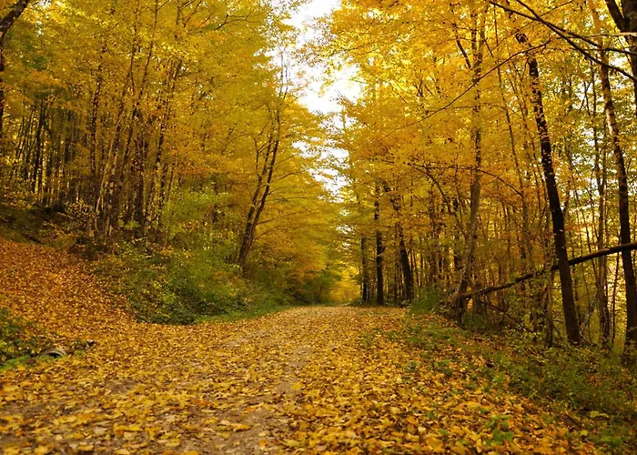 Apartament Istrian Embrace, Kizin House - Cozy Apartments Brezovica pri Gradinu